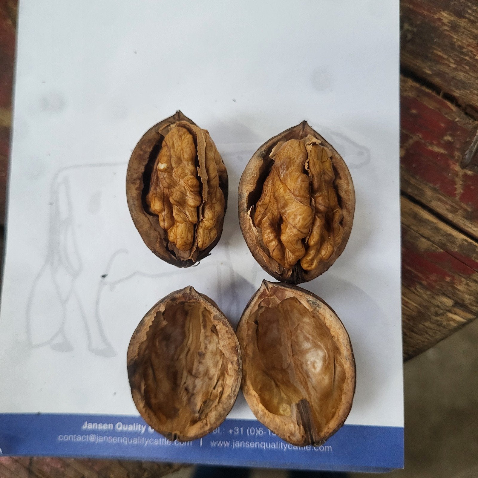 Gedroogde biologische walnoten, Ophalen