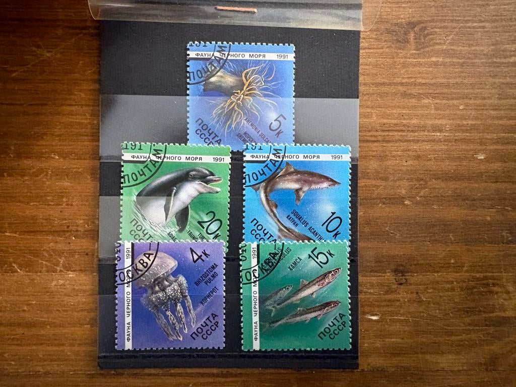Postzegels Rusland Soviet Unie CCCP - zeedieren, Ophalen of Verzenden