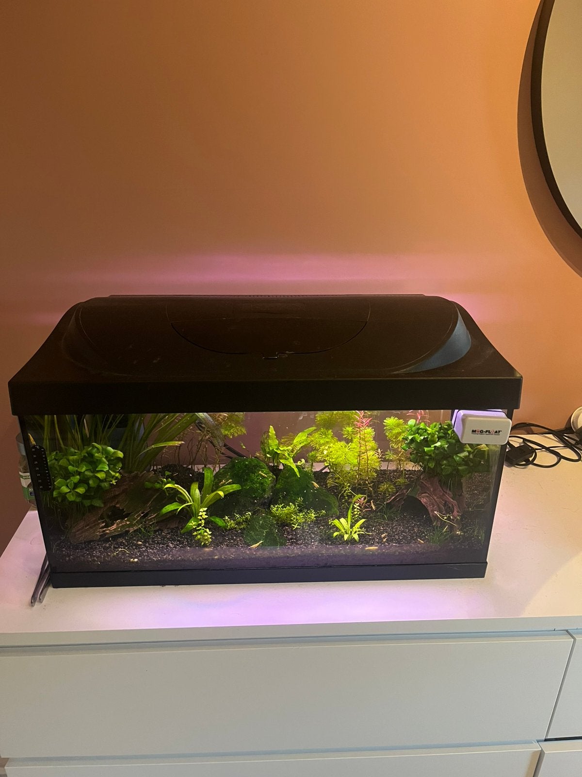 Compleet aquarium, Ophalen, Zo goed als nieuw, Gevuld zoetwateraquarium