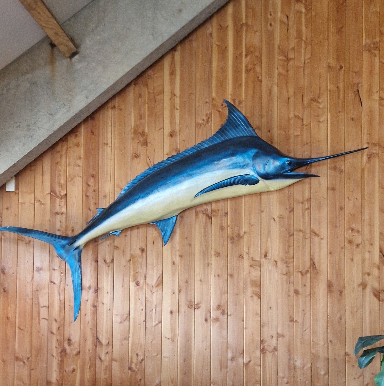 Grote decoratieve zwaardvis van 3 meter!, Ophalen