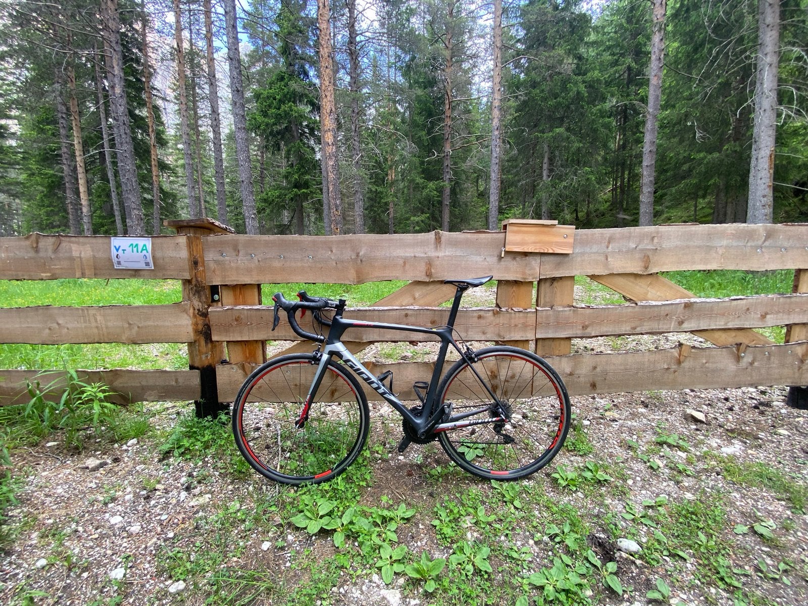 Giant TCR Advanced Pro 2021 racefiets - Carbon, maat L, Ophalen, 28 inch, Gebruikt, Carbon