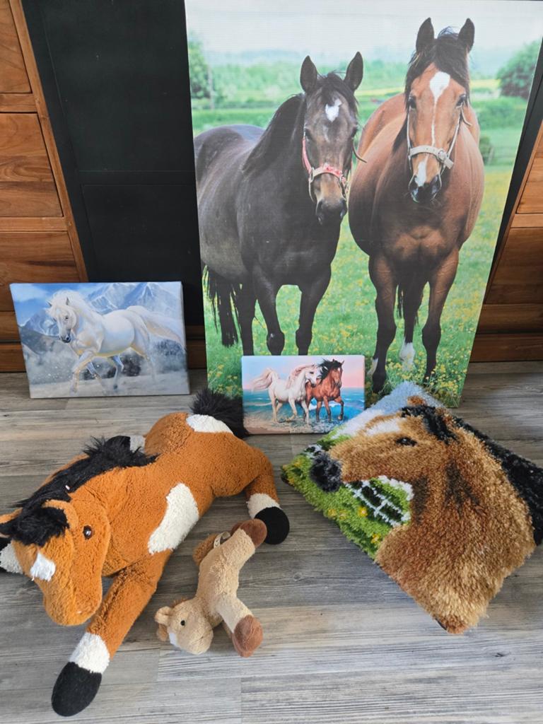 Paarden posters en knuffels kussentje, Ophalen, Zo goed als nieuw