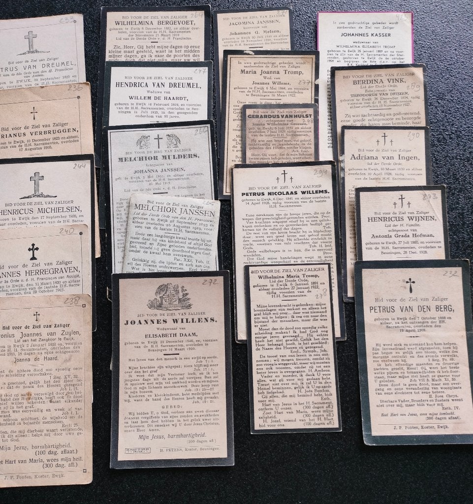 81 oude bidprentjes Geboren Ewijk (Gld), Ophalen of Verzenden, Bidprentje