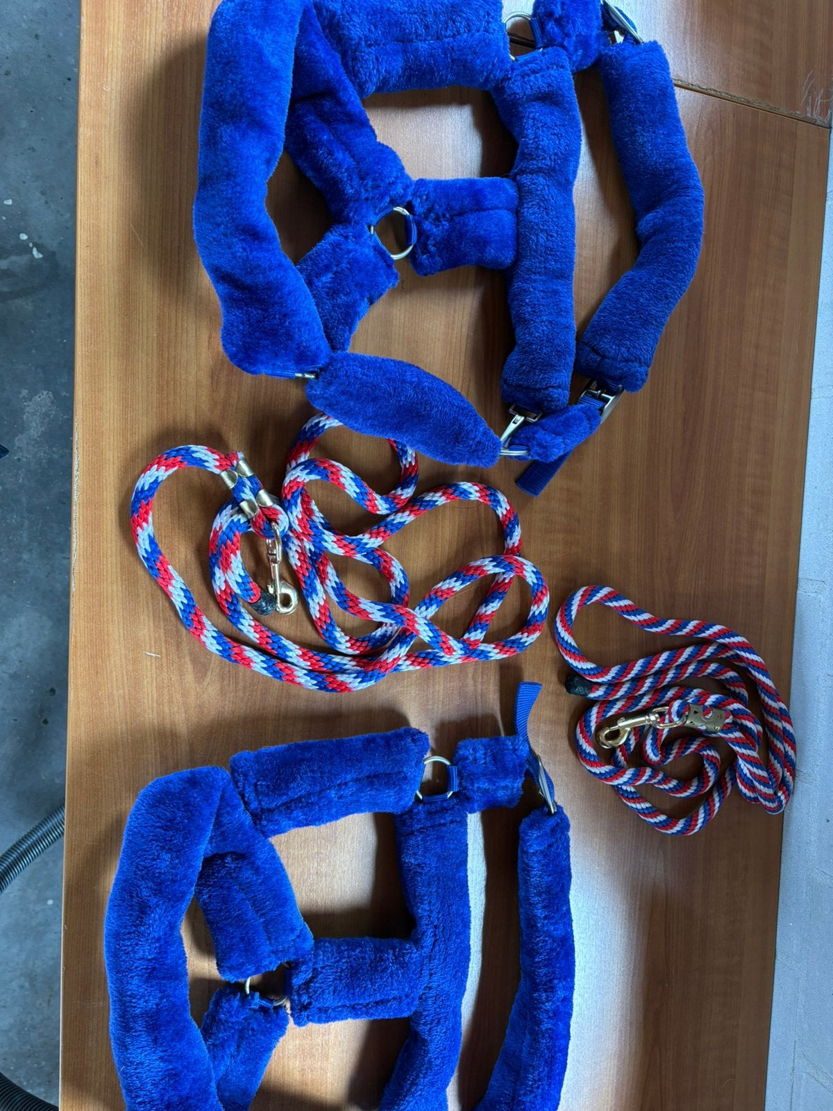 Bont halsters maat Full, Nieuw, Ophalen of Verzenden, Blauw, Halster
