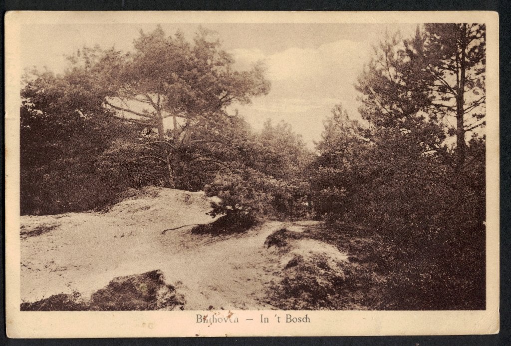 Bilthoven, In ´t Bosch. 1925, Ophalen of Verzenden, 1920 tot 1940, Gelopen, Utrecht