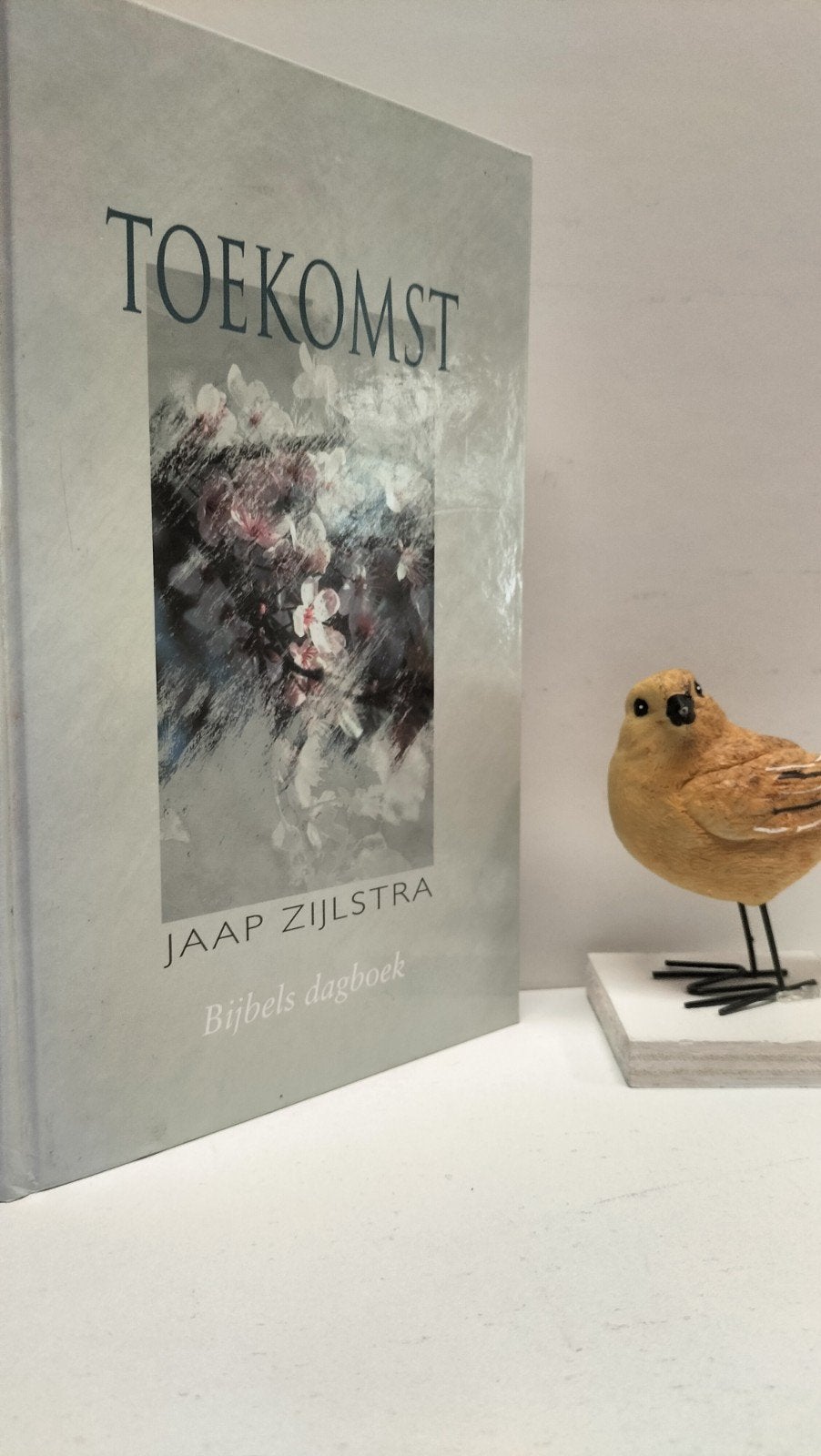 Zijlstra, Jaap; Toekomst (Bijbels dagboek, Ophalen of Verzenden, Gelezen, Christendom | Protestants