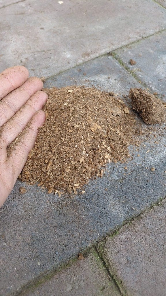 mulch, Ophalen of Verzenden, Boomschors