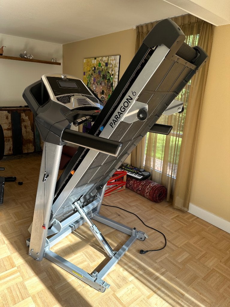 Horizon Fitness Paragon 6 loopband., Ophalen, Gebruikt, Metaal, Loopband
