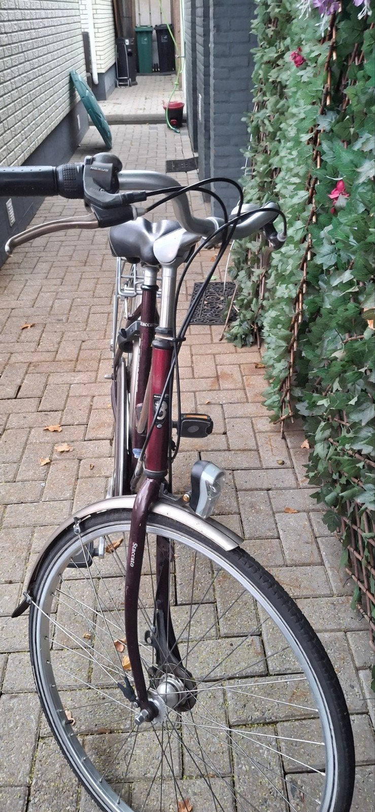 Batavus staccato maat 54 /7 versellingen, Fietsen en Brommers, Ophalen, Minder dan 10 versnellingen, 53 tot 56 cm, Batavus