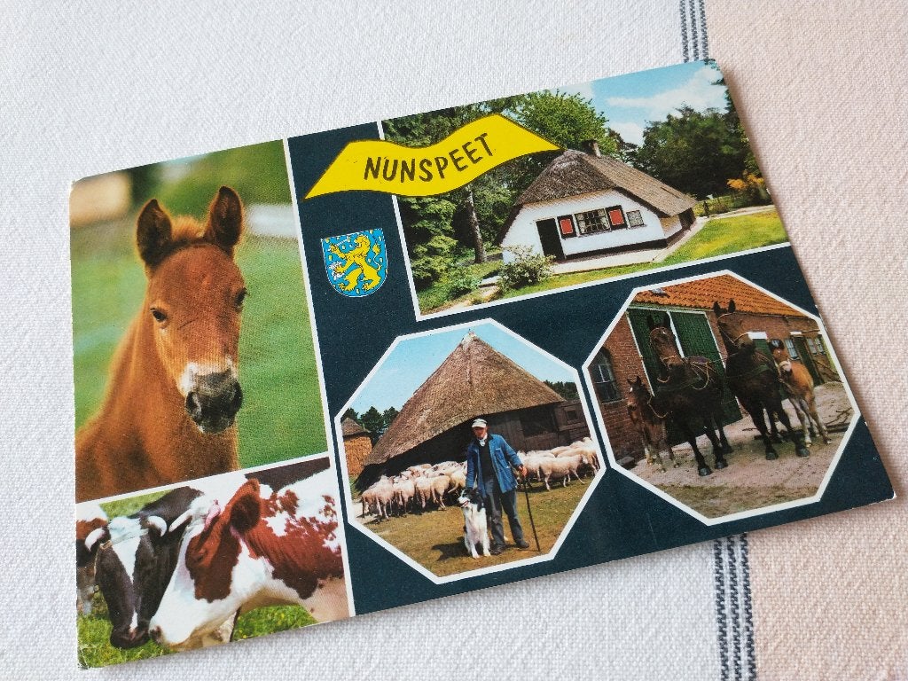 Nunspeet - 5 afbeeldingen en wapenschild, Verzamelen, Ophalen of Verzenden, 1960 tot 1980, Gelopen, Gelderland