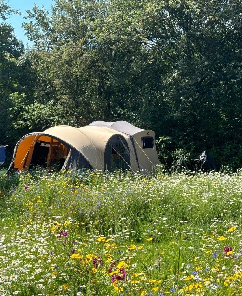Fijne en complete Cabanon Mercury Comfort 2022, Ophalen, Meerkleurig, Cabanon, Aanwezig