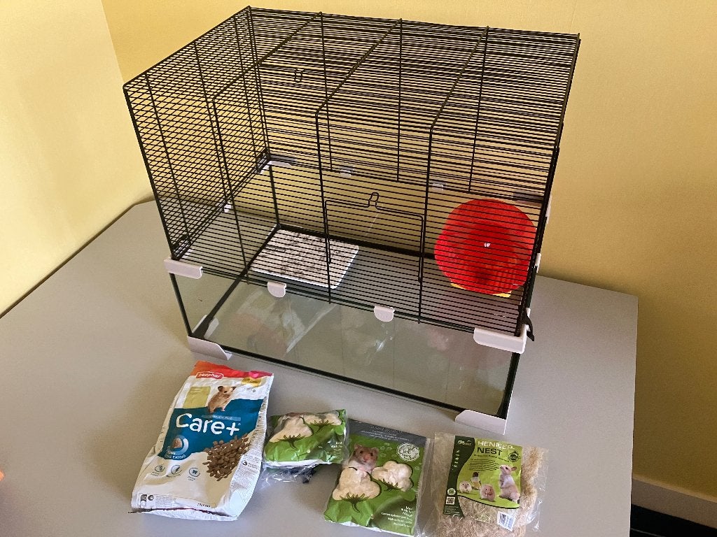 Fijne hamsterkooi muizenkooi compleet met spullen, Dieren en Toebehoren, Kooi, Minder dan 75 cm, Ophalen, Minder dan 60 cm
