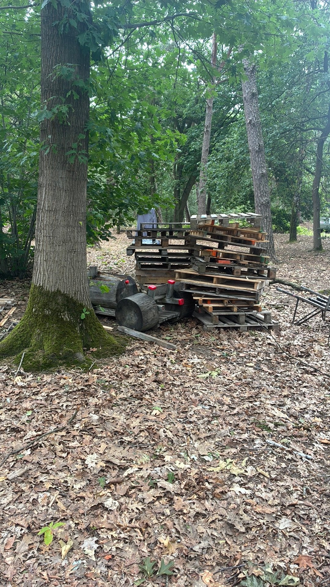 Gratis hout/pallets, Tuin en Terras, Haardhout, Minder dan 3 m³, Ophalen of Verzenden