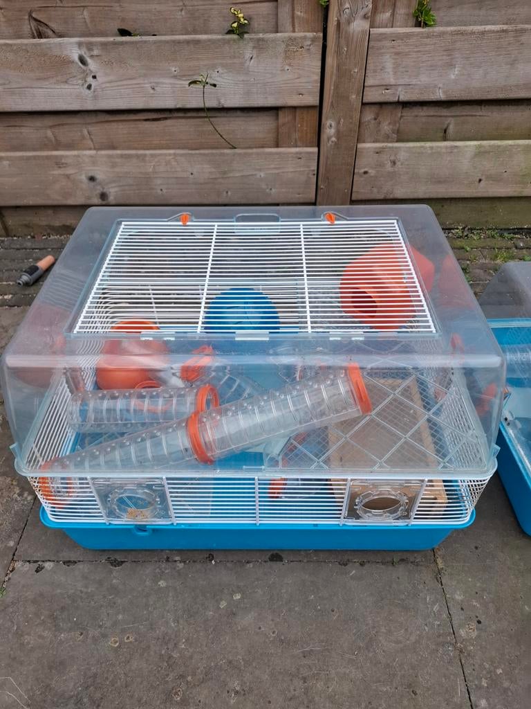 Hamsterkooi, Dieren en Toebehoren, Knaagdieren en Konijnen | Hokken en Kooien, Kooi, Gebruikt, Minder dan 75 cm, Hamster