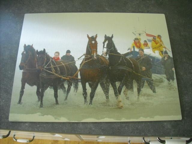 reddingsboot  met paarden  ameland, Ophalen of Verzenden, 1980 tot heden, Waddeneilanden