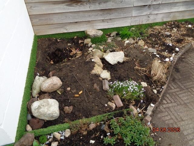 ik heb alleen nog keien in de aanbieding voor een vijver., Tuin en Terras, Planten | Tuinplanten, Vaste plant, Bloeit niet, Halfschaduw
