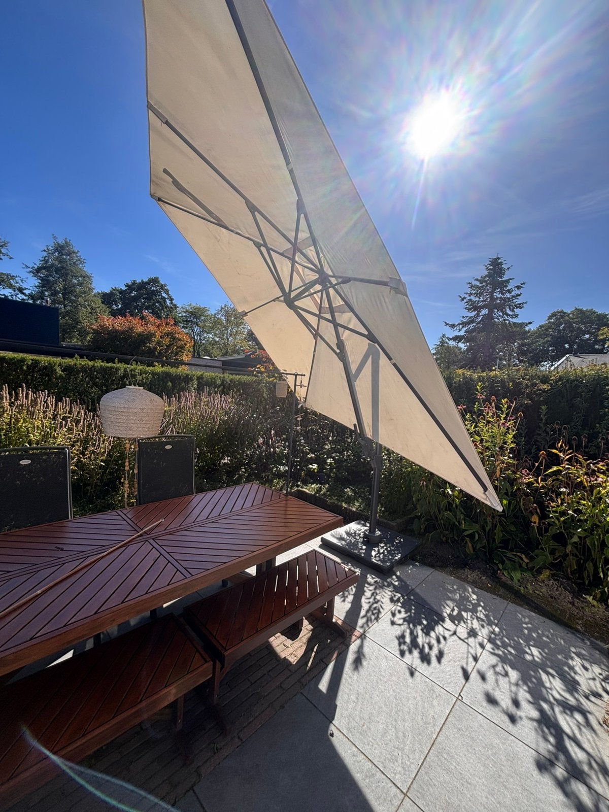 Parasol