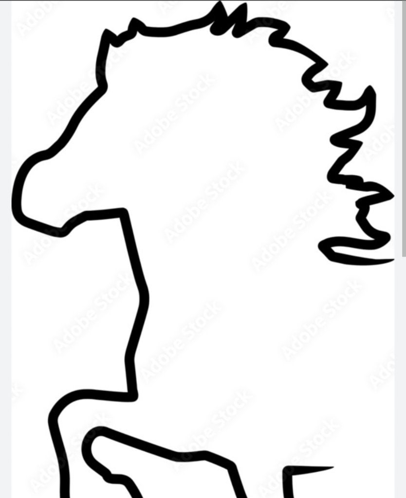 Verzorgpaard/verzorgpony gezocht!, Ophalen, Nieuw