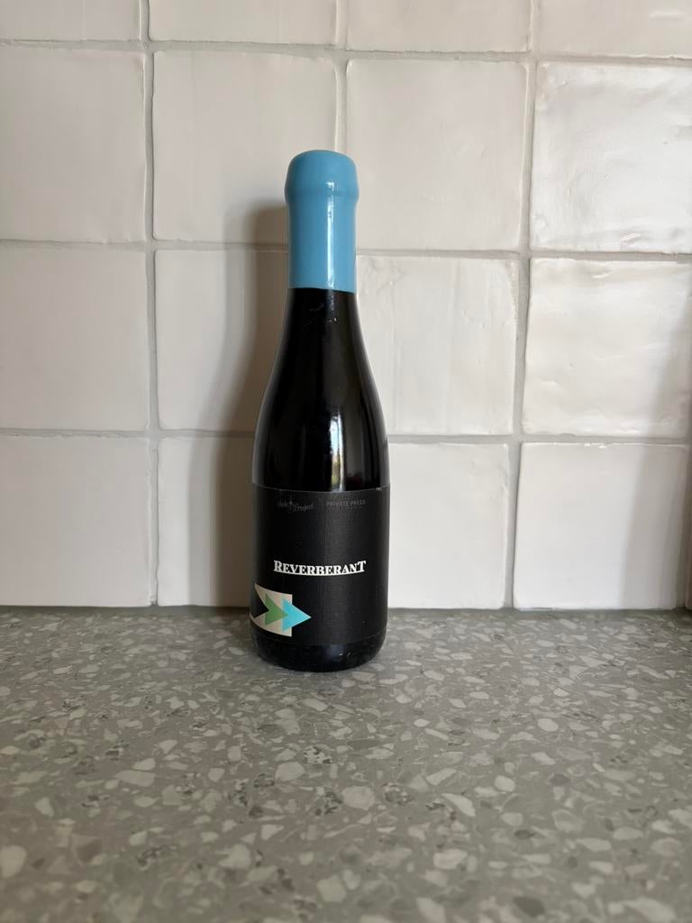 US stout bieren Side Project Reverbarent Bourbon, Verzamelen, Ophalen of Verzenden, Zo goed als nieuw, Flesje(s), Overige merken