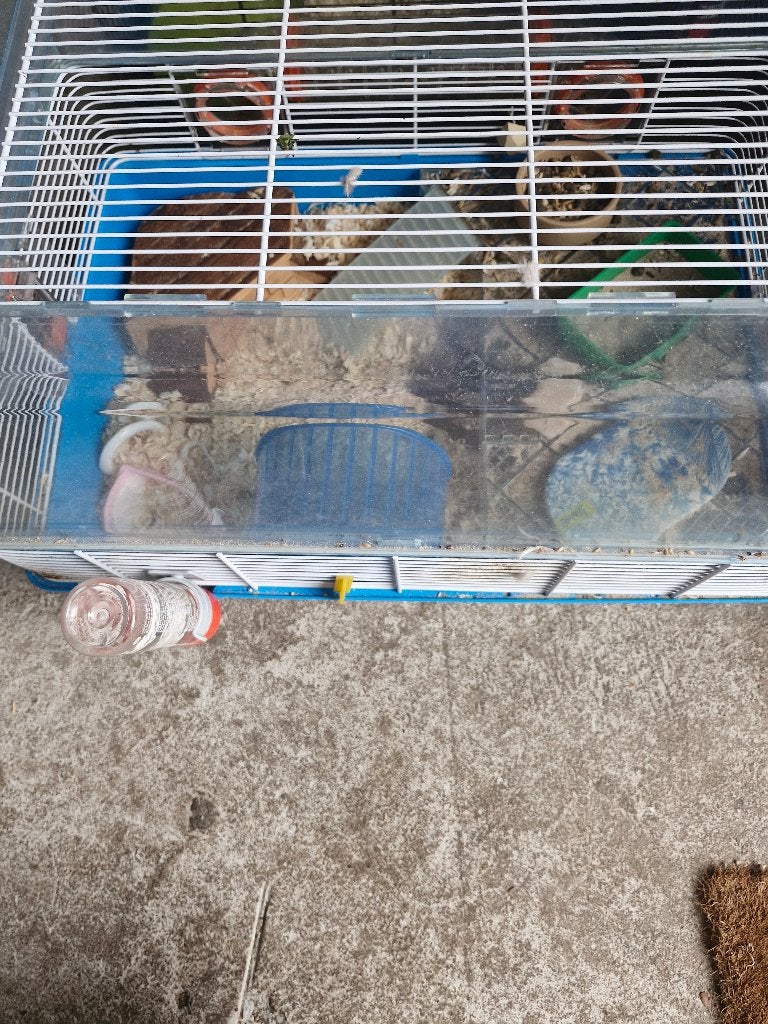 Hamsterkooi, Dieren en Toebehoren, Kooi, Minder dan 75 cm, Zo goed als nieuw, Hamster