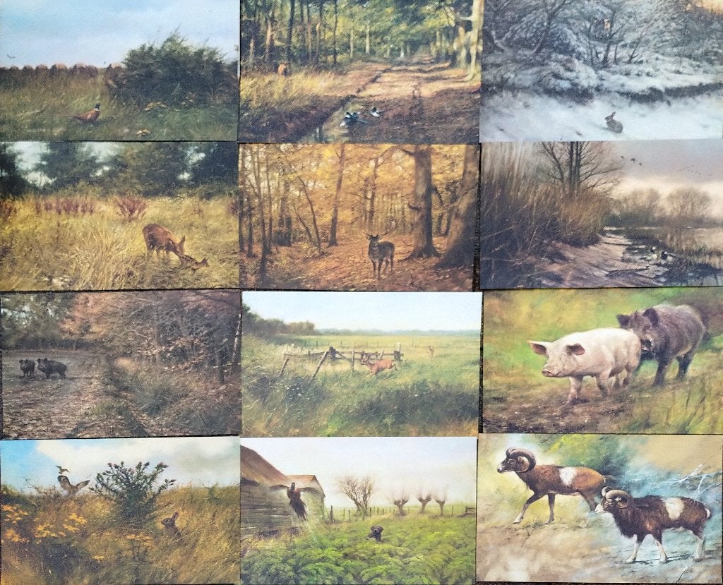 30 platen van Rien Poortvliet. 43 x 32 cm, Ophalen, Natuur, 1980 tot heden, Zo goed als nieuw