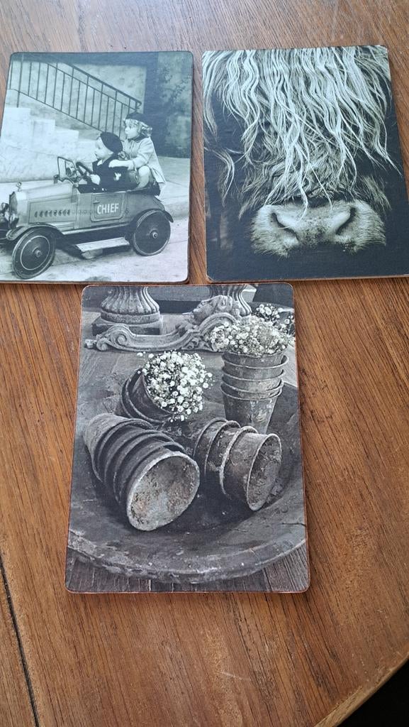 3 hardboard afbeeldingen, Minder dan 50 cm, Verzenden, Zo goed als nieuw, Foto of Poster