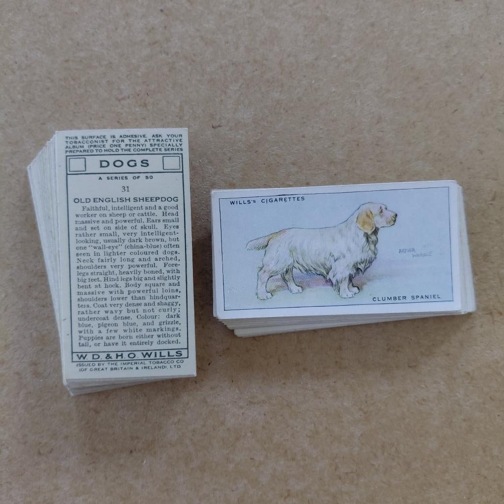 Dogs complete set 50 cigarette cards honden Wills 1937, Ophalen, Gebruikt