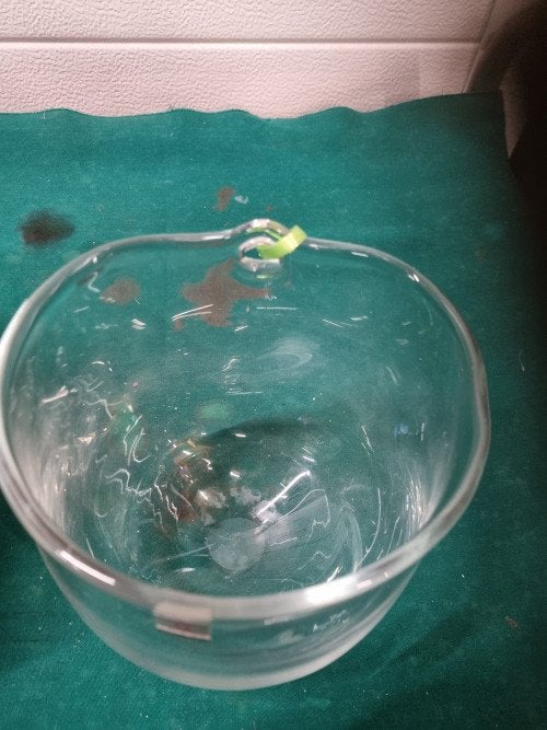 hangpot glas euroglass designe vintage, Ophalen of Verzenden, 'T Olde Gre-j, Info@toldegrej.nl, Endepoelstraat 20f Didam