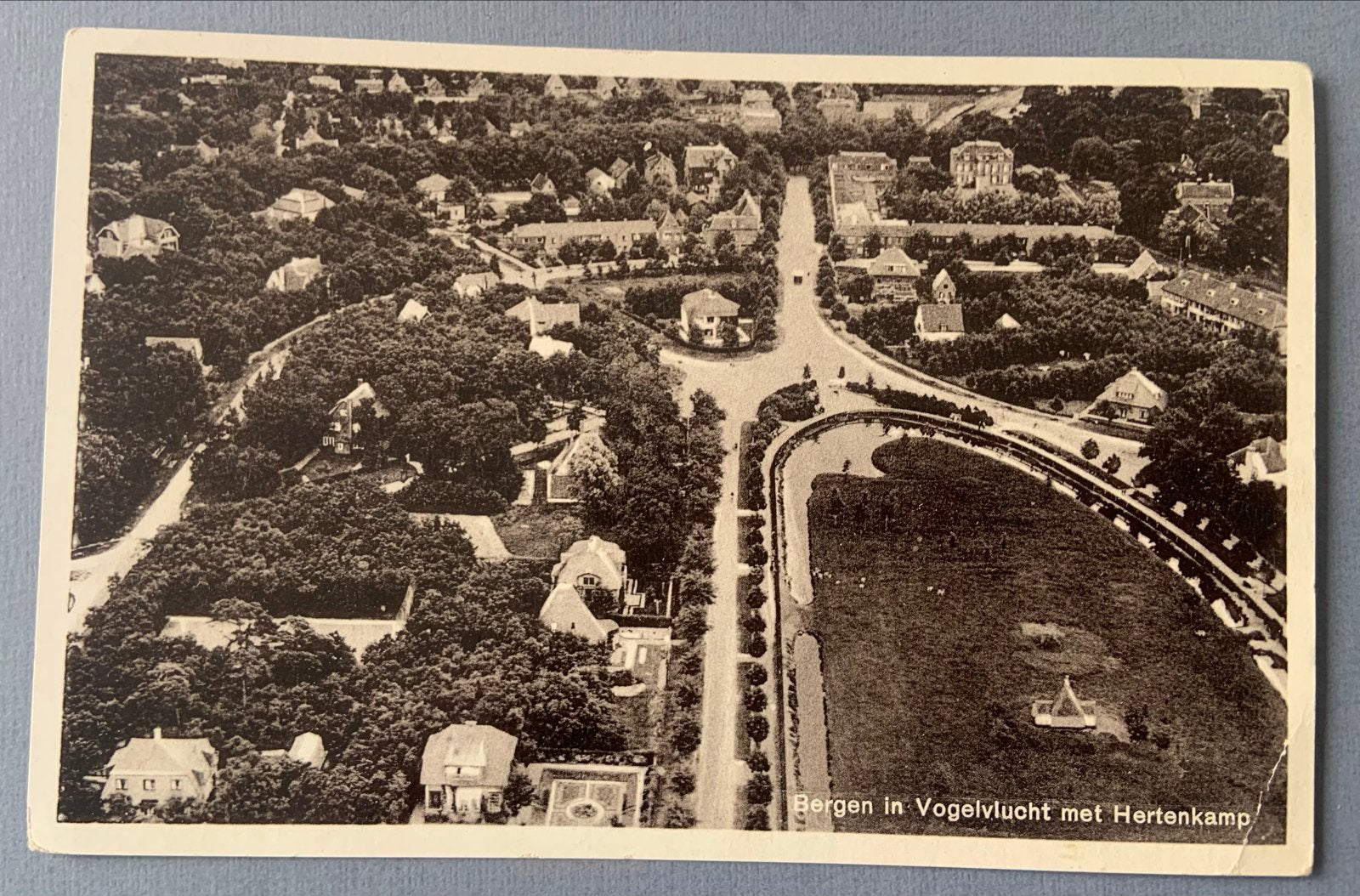 Bergen in Vogelvlucht met Hertenkamp, Verzamelen, Ansichtkaarten | Nederland, Ophalen of Verzenden, 1920 tot 1940, Ongelopen