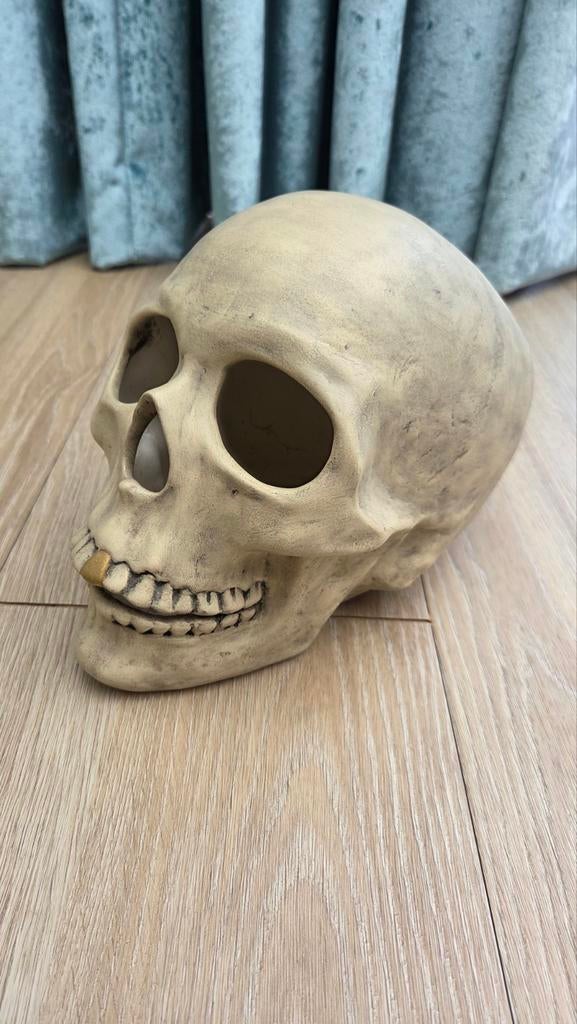 Decoratieve schedel, Ophalen of Verzenden, Zo goed als nieuw