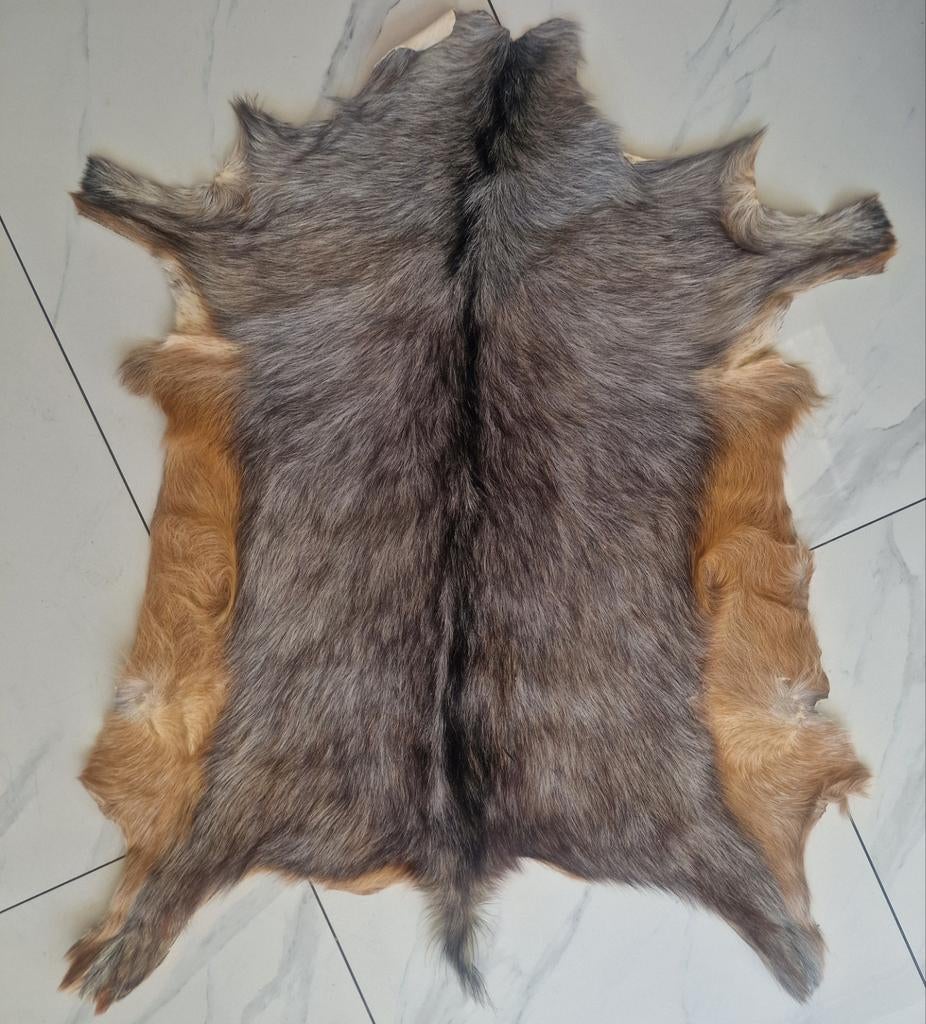 Prachtige echte Afrikaanse geitenhuid, Gebruikt, 100 tot 150 cm, Afrikaans, Rustiek, Natuurlijk, Grijs