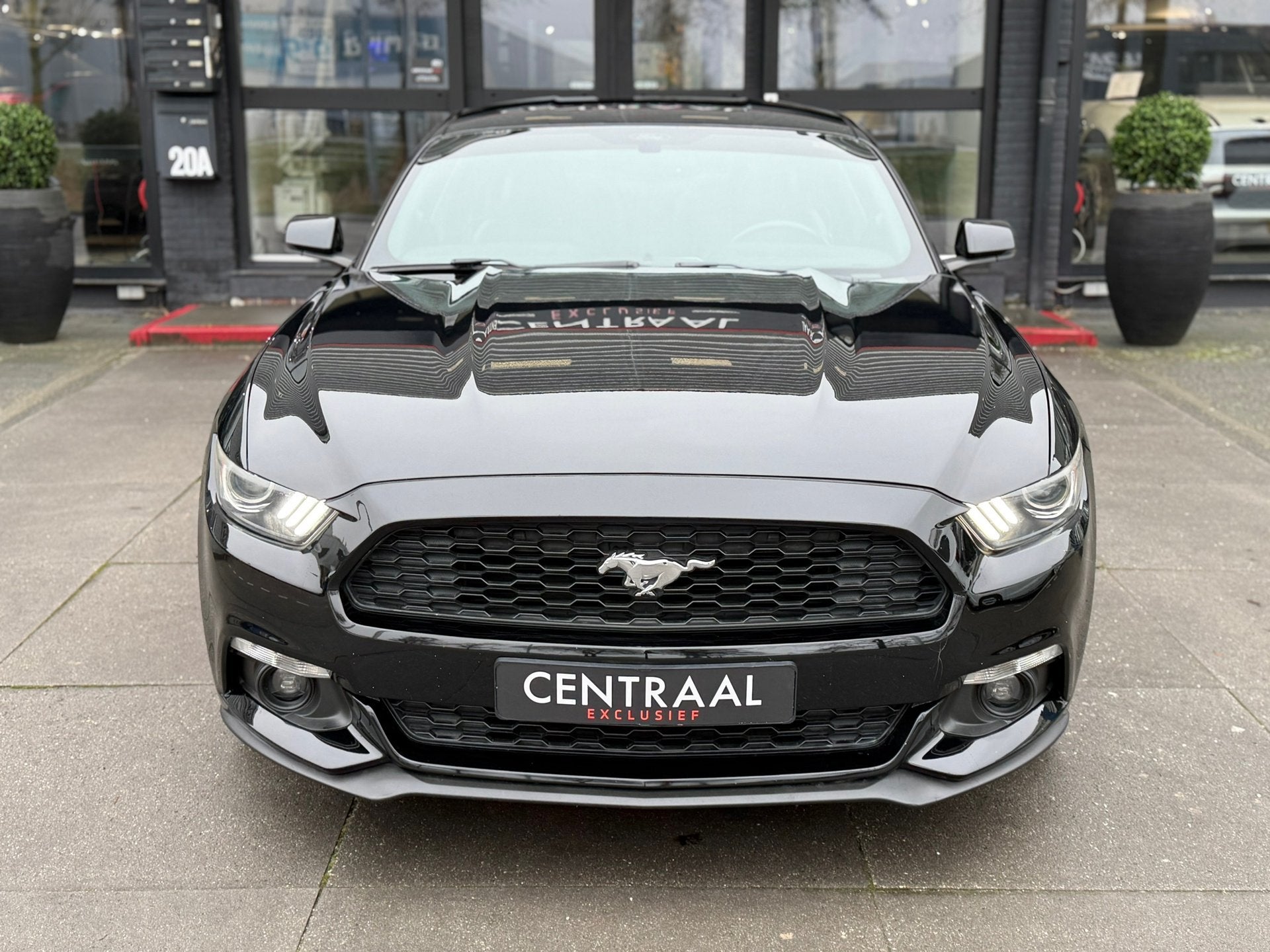 Ford Mustang Fastback 2.3 EcoBoost 310PK|Stoelkoeling/Verwar, Auto's, Ford, Achterwielaandrijving, Gebruikt, 4 stoelen, Zwart