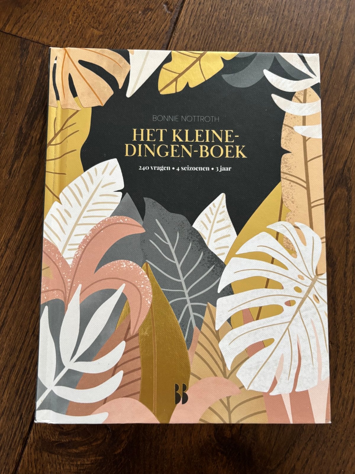 Bonnie Nottroth: Het kleine-dingen-boek (met 240 vragen), Ophalen of Verzenden, Zo goed als nieuw