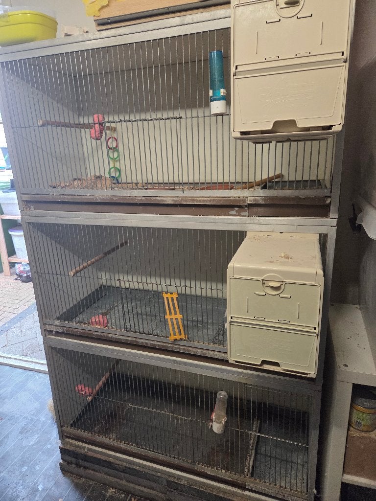 Broed kooien, Ophalen, Gebruikt, Overige materialen, Broedkooi of Kweekkooi