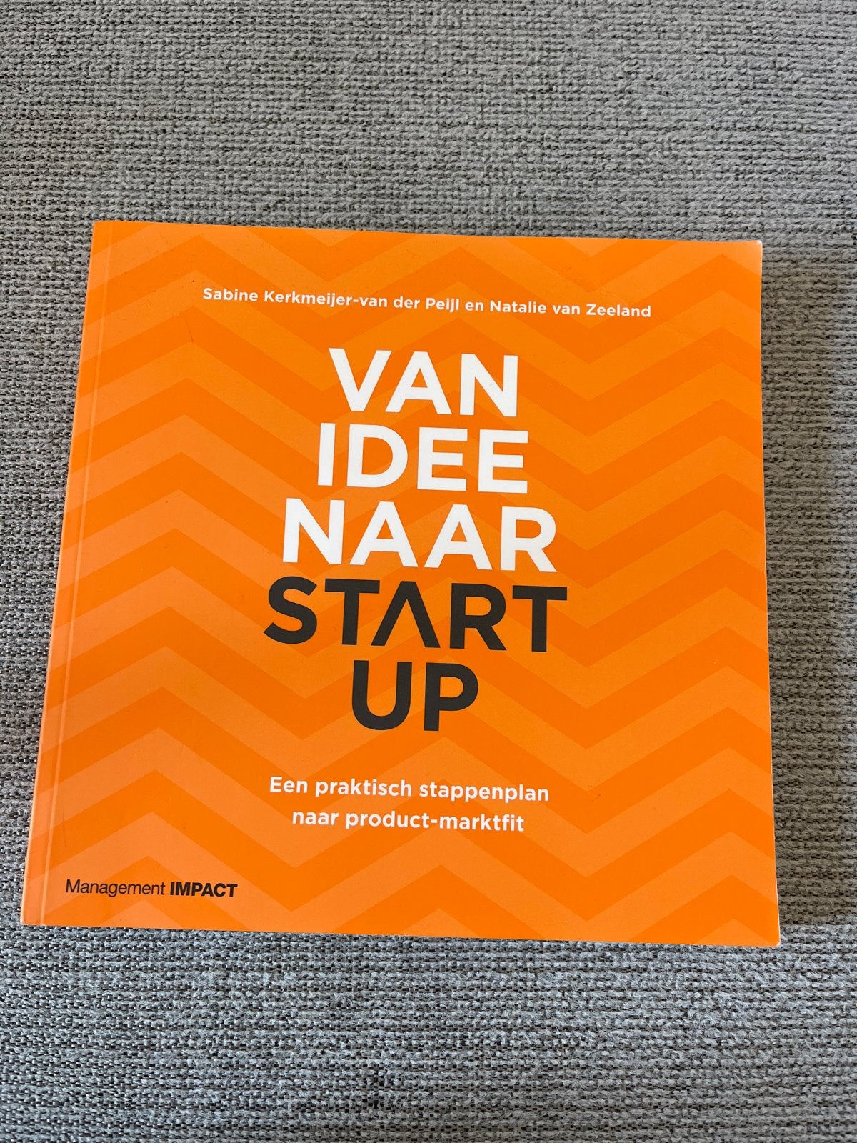 Van Idee Naar Start-up: Praktisch Stappenplan Product-Marktf, Ophalen of Verzenden, Zo goed als nieuw, Management