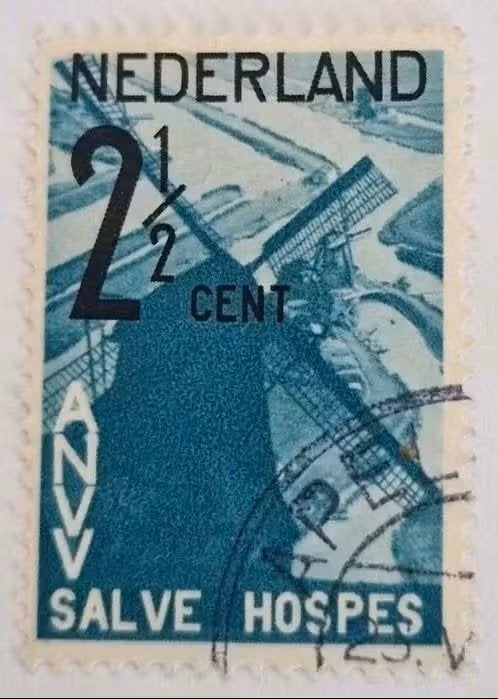 Nederland 1932 - nvph 244 - ANVV, Postzegels en Munten, Ophalen of Verzenden, T/m 1940, Gestempeld
