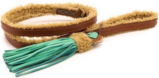 Honden lijn riem teddy met turquoise dwam S, Ophalen, Zo goed als nieuw, Hondenriem