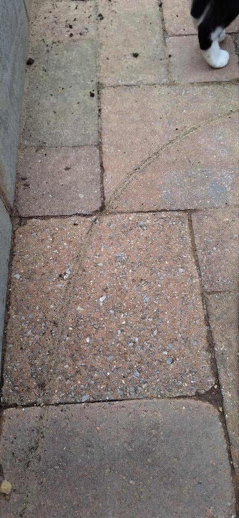 Gratis af te halen: Terras stenen rood/blauw (ca. 12 m²), Ophalen, Gebruikt, Beton, Klinkers