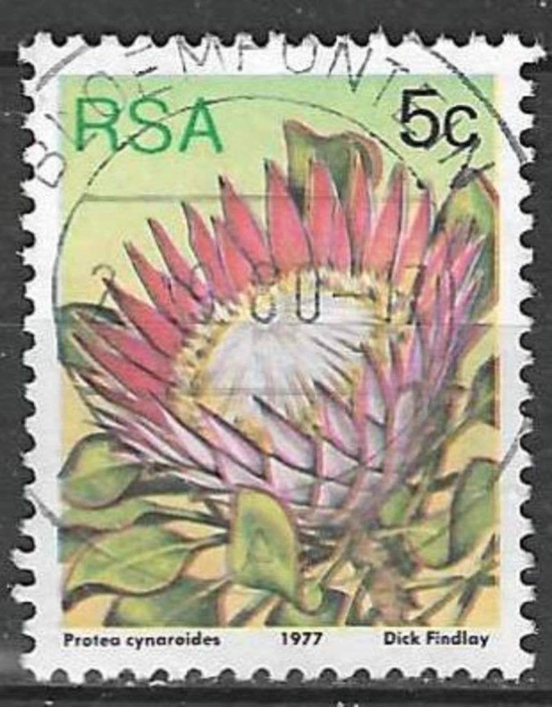 Zuid-Afrika 1977 - Yvert 420 - De Koningsprotea (ST), Verzenden, Zuid-Afrika, Gestempeld