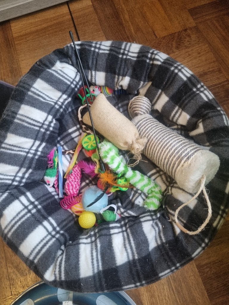 Kattenmand, Dieren en Toebehoren, Kattenmanden, Ophalen, Zo goed als nieuw, Overige