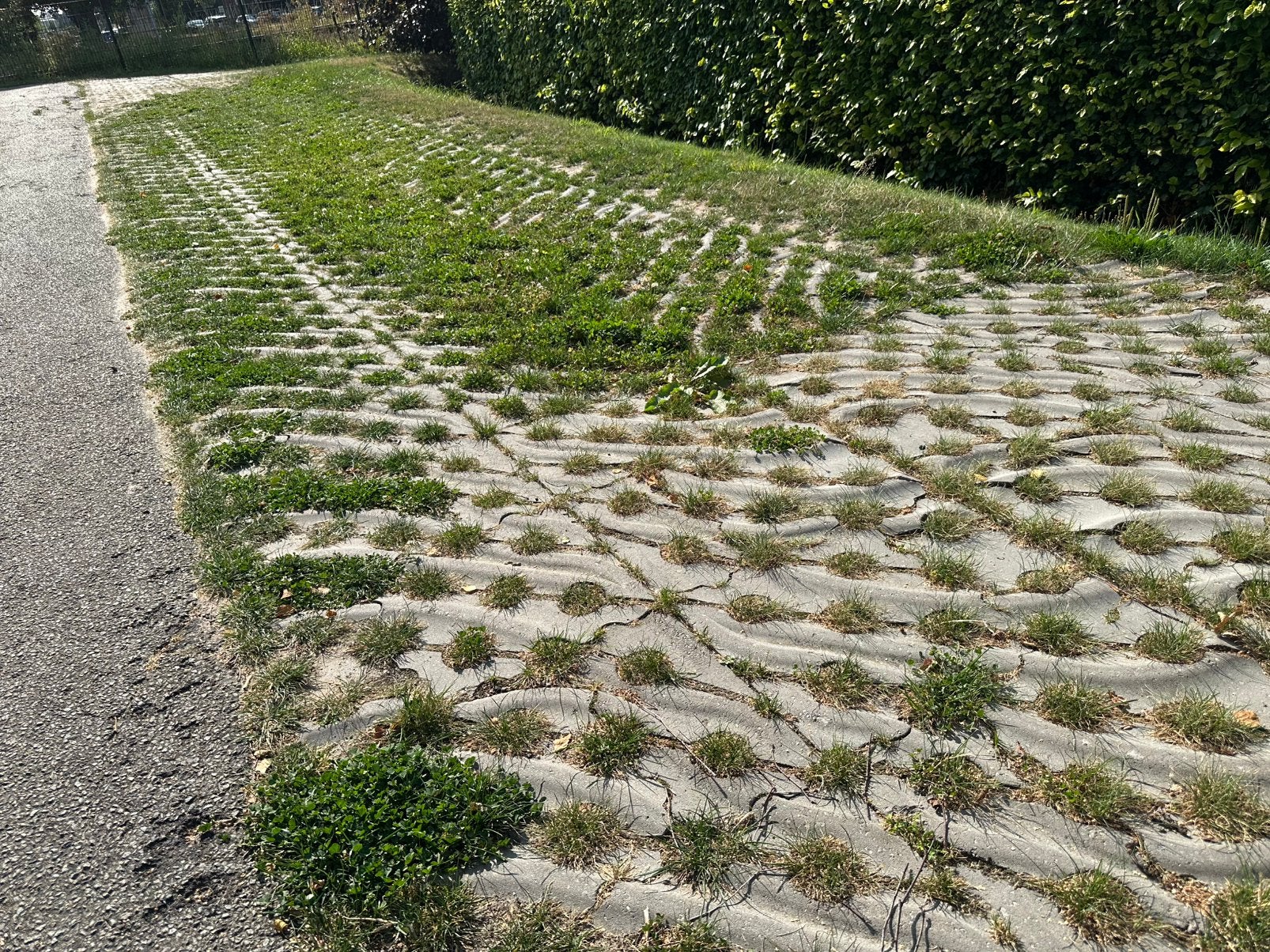 Grasbeton / bermstenen, Ophalen, Overige typen, Nieuw, Minder dan 5 m²