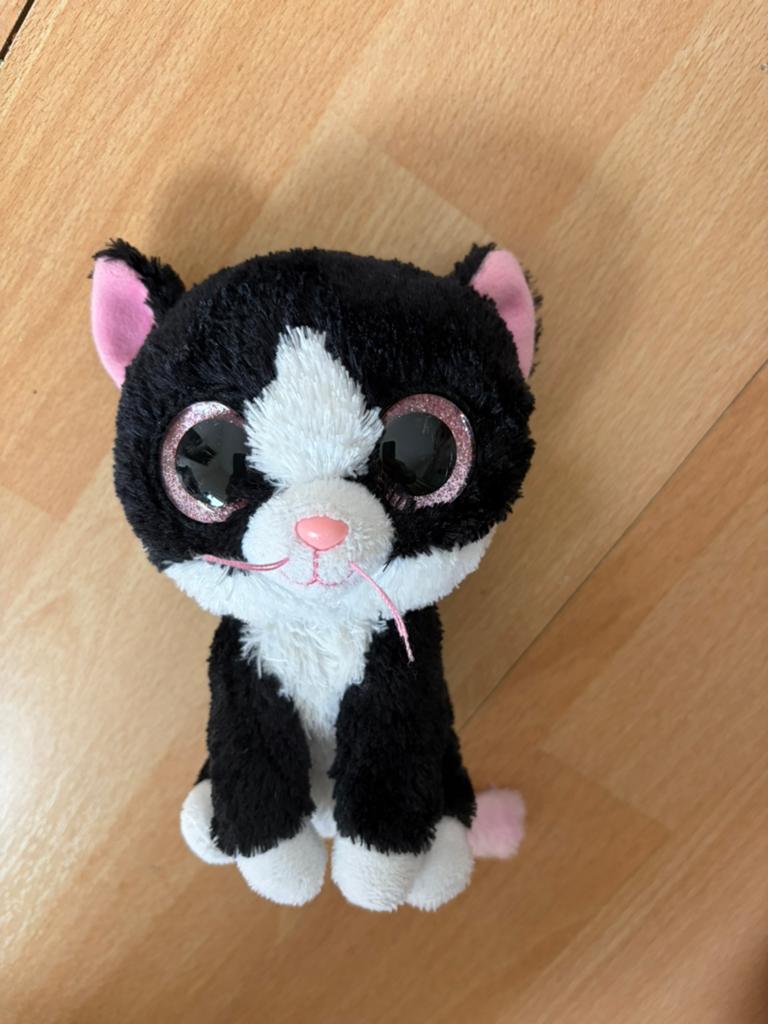 Ty knuffeltje. Poes 15 cm, Overige karakters, Ophalen of Verzenden, Zo goed als nieuw, Meerkleurig