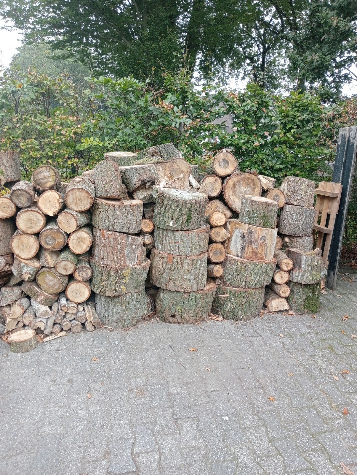 haardhout schijven populier, Minder dan 3 m³, Ophalen