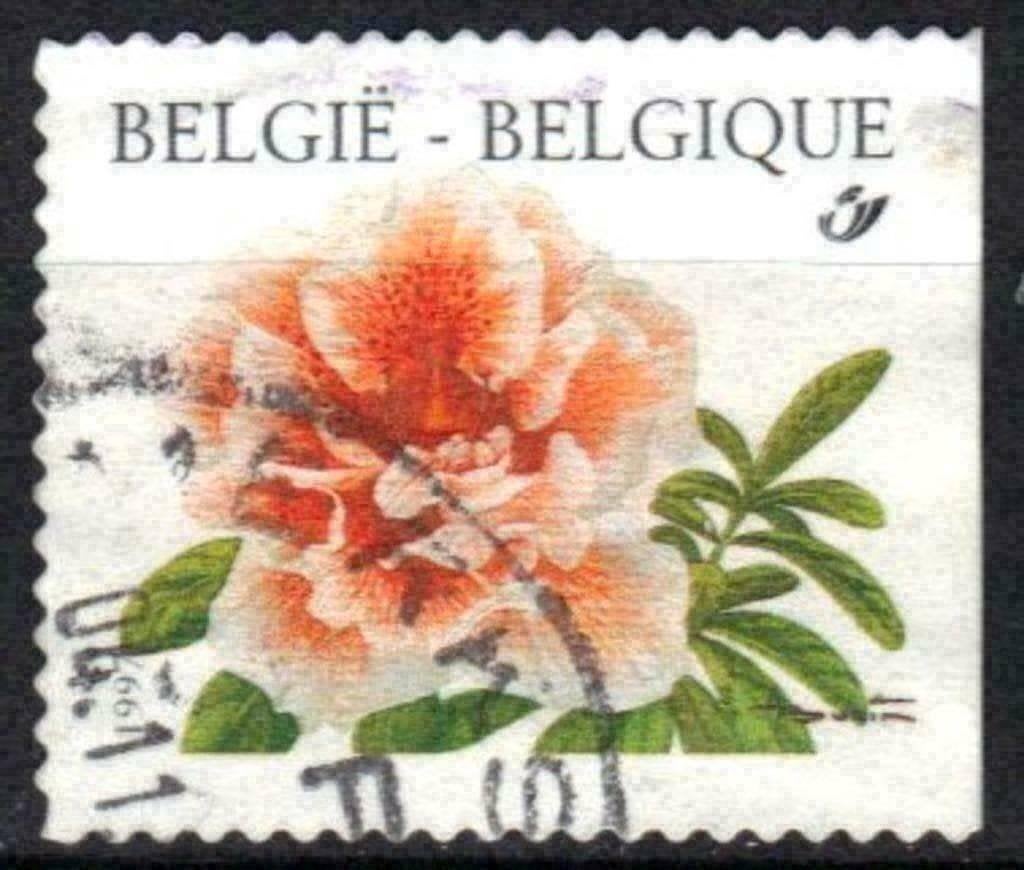 Belgie 1997 - Yvert 2733 /OBP 2733a - Bloemen (ST), Verzenden, Gestempeld
