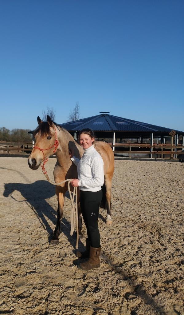 Instructie aangeboden, Diensten en Vakmensen, Dieren | Paarden | Verzorging, Oppas en Les, Ruiter of Bijrijder