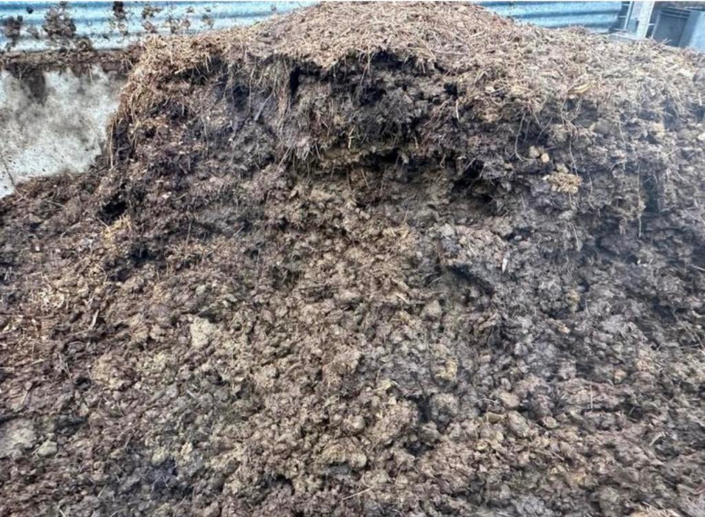 Gratis paardenmest, Tuin en Terras, Aarde en Mest, Mest, Ophalen