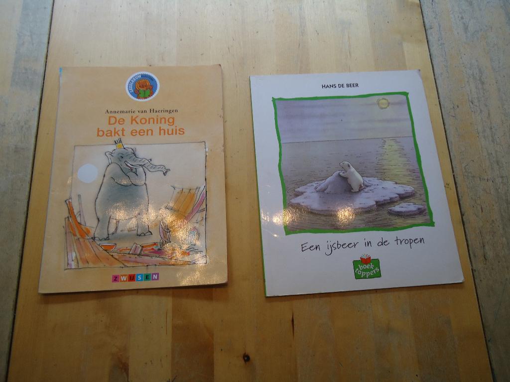 Leuke kleuter boeken: Koning bakt en IJsbeer in tropen (D), Boeken, Fictie algemeen, Jongen of Meisje, Ophalen of Verzenden, Zo goed als nieuw