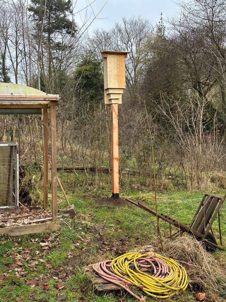 NIEUW vleermuiskast op paal  douglas hout vleermuishotel, Tuin en Terras, Ophalen of Verzenden, Nieuw