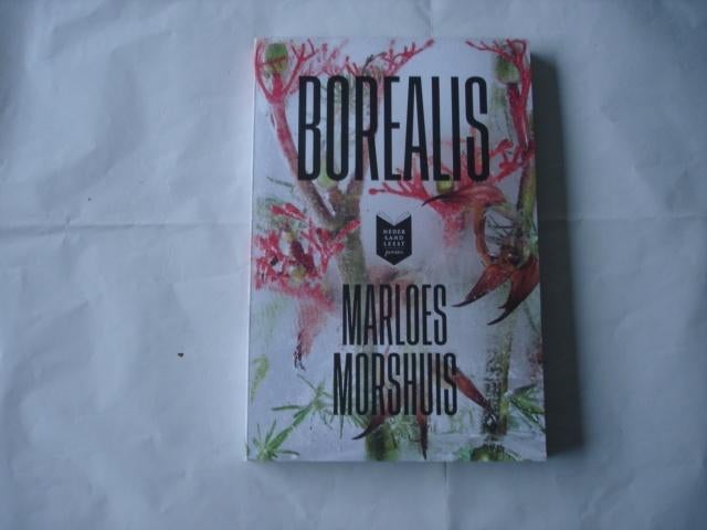 cpnb- (048) borealis, door marloes morshuis     ., Boeken, Boekenweekgeschenken, Ophalen of Verzenden, Zo goed als nieuw