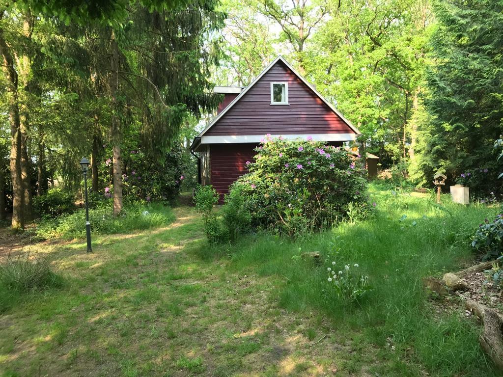 Vakantiehuis Drenthe Drents-Friese Wold. Aanbieding!, Vakantie, Vakantiehuizen | Nederland, 5 personen, In bos, 2 slaapkamers